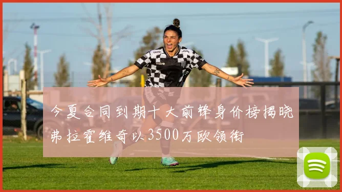 今夏合同到期十大前锋身价榜揭晓弗拉霍维奇以3500万欧领衔